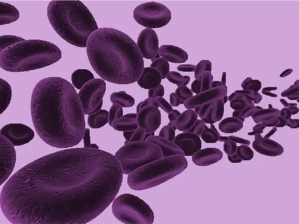 Erythropoiesis-stimulating agents