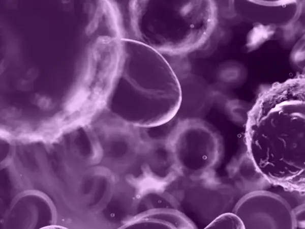 Checkpoint inhibitors