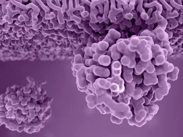 Farnesyltransferase inhibitors