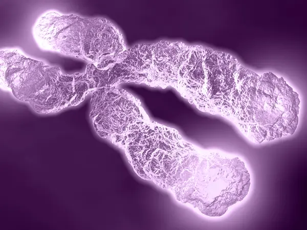 Telomerase inhibitors